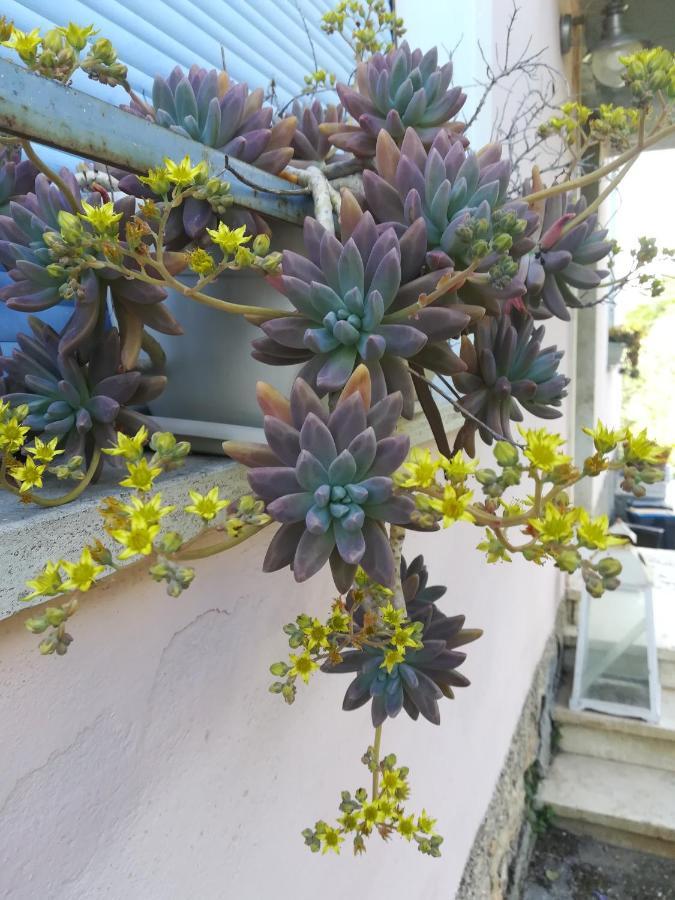 Tramonti E Valli Calvi dellʼ Umbria Exterior foto